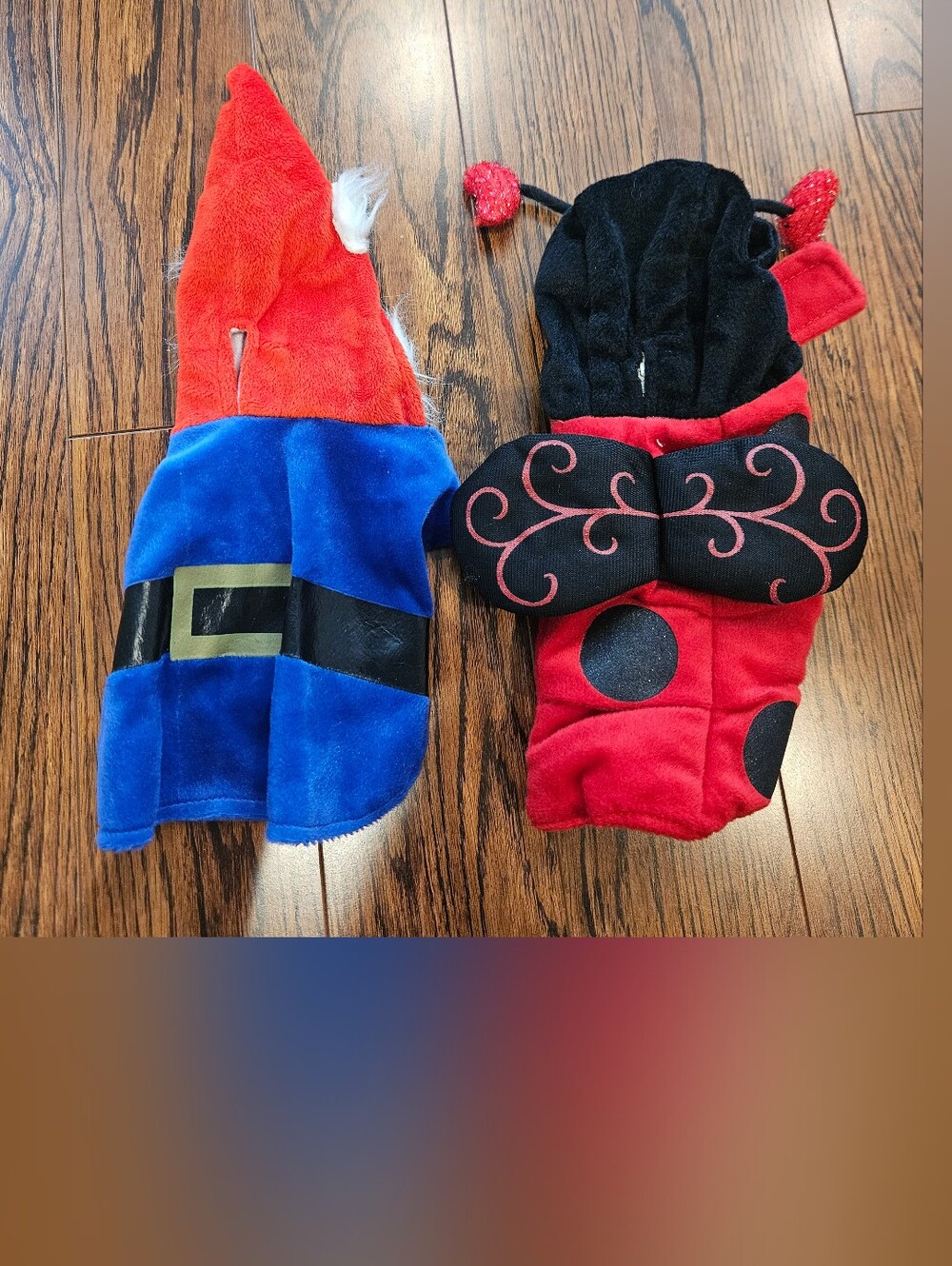 XS Pet Dog Or Cat Gnome and Ladybug Costume Set